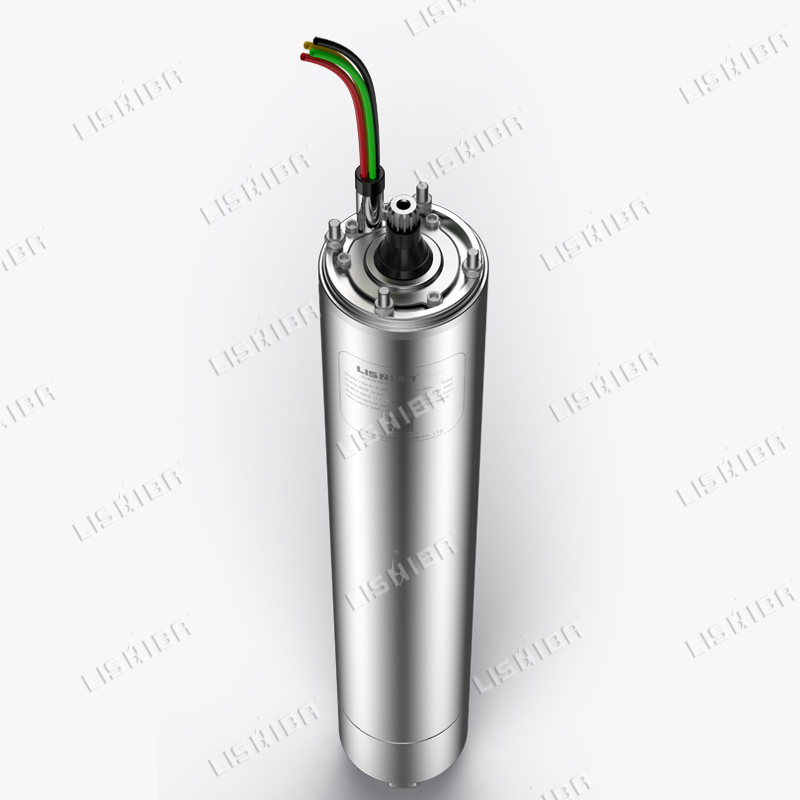 力士霸泵業(yè)詳解什么是潛水電機？(圖1)
